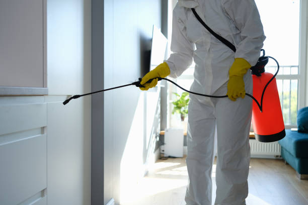 Best Commercial Mold Removal  in Berkeley, IL